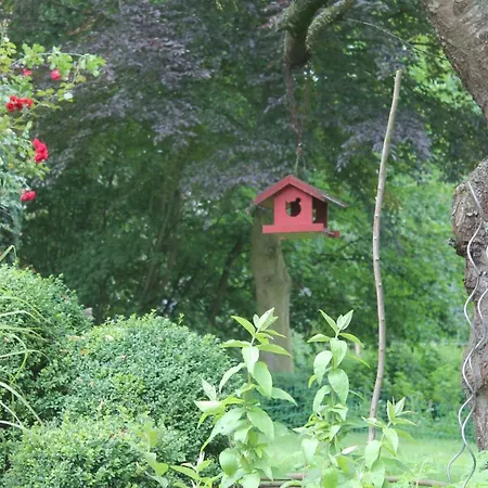 De Olle Uhlhoff Barlt
