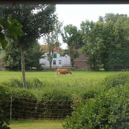 De Olle Uhlhoff Apartment Barlt