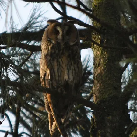 Apartment De Olle Uhlhoff