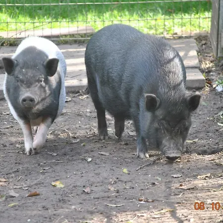 De Olle Uhlhoff Apartment *