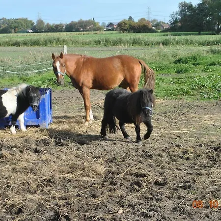 Apartment De Olle Uhlhoff Barlt